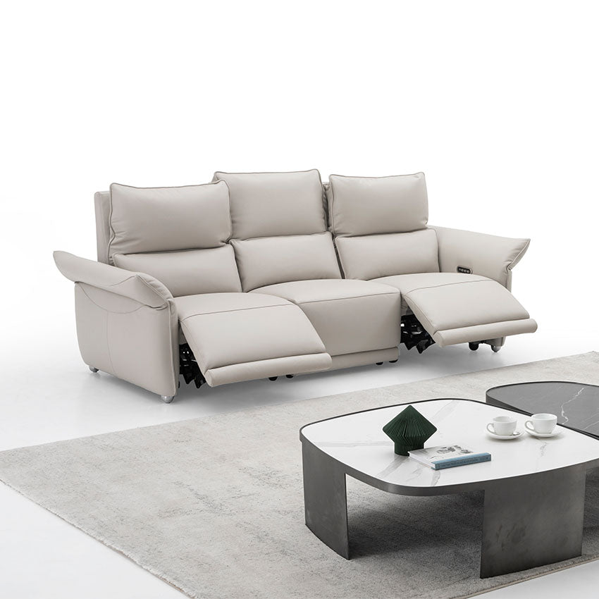 OKINO Deluxe 品牌-CLARET全真皮三電動三位梳化(活動扶手)(寵物布/全真皮）