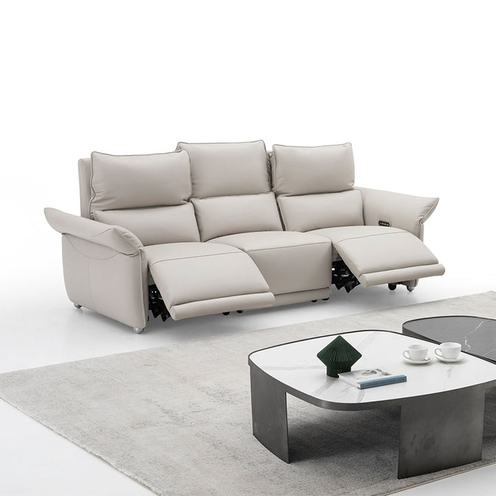 OKINO Deluxe 品牌-CLARET全真皮三電動三位梳化(活動扶手)(寵物布/全真皮）