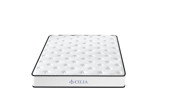 CILIA - Aquarius individual pocket spring roll mattress 60"